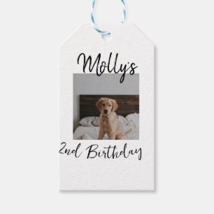 Étiquettes-cadeau Animateur chien chat animal photo moderne simple