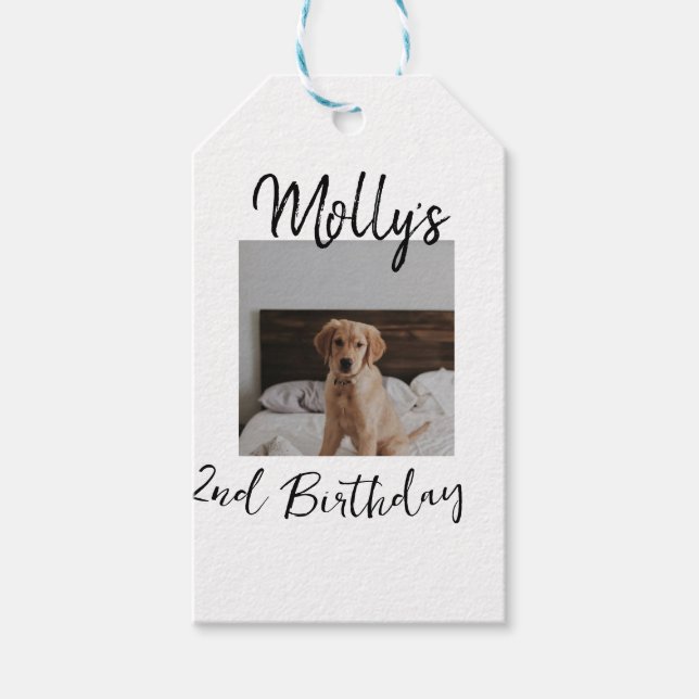 Étiquettes-cadeau Animateur chien chat animal photo moderne simple (Devant)