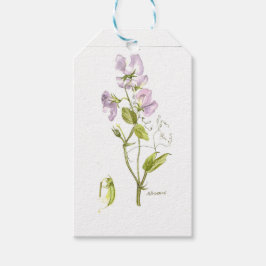 Étiquettes-cadeau Aquarelle de pois doux violet et vert