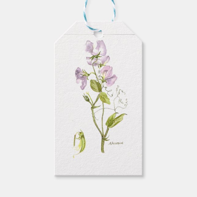 Étiquettes-cadeau Aquarelle de pois doux violet et vert (Devant)