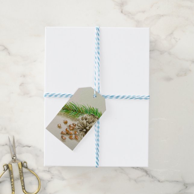 Étiquettes-cadeau Aquarelle Pinõn Nuts Pinecone Nouveau-Mexique (Avec de laficelle)