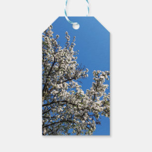 Étiquettes-cadeau Arbre à pomme à fleurs printanières