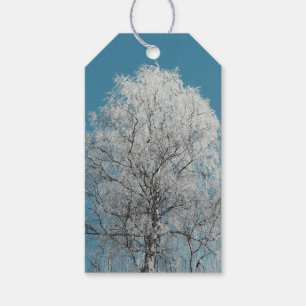Étiquettes-cadeau Arbre blanc contre ciel bleu sans nuages