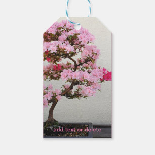 Étiquettes-cadeau Arbre bonsaï