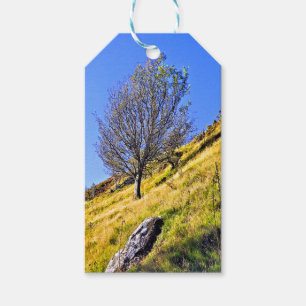 ÉTIQUETTES-CADEAU ARBRE SOLITAIRE