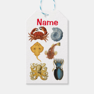 Étiquettes-cadeau Association d'apaces de mer uniques Thunder_Cove