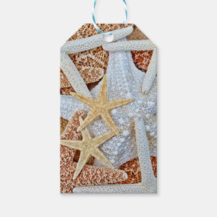 Étiquettes-cadeau Assortiment des étoiles de mer