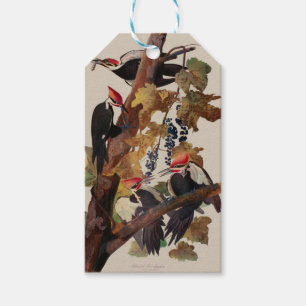 Étiquettes-cadeau Audubon Peinture d'Oiseaux Pic Pilé