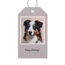 Australian Shepherd