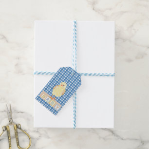 Étiquettes-cadeau Baby Boy Little Chick Blue En vichy
