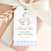Baby-Shower Blue Gingham Silly Goose