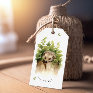 Étiquettes-cadeau Baby shower de hérisson pour bébé aquarelle