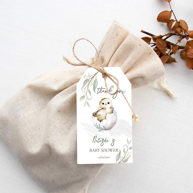 Étiquettes-cadeau Baby shower de printemps d'oiseau à l'éclosion bie (Hatching soon bird spring baby shower favor gift tags thank you favor tags cute baby owl inside egg)