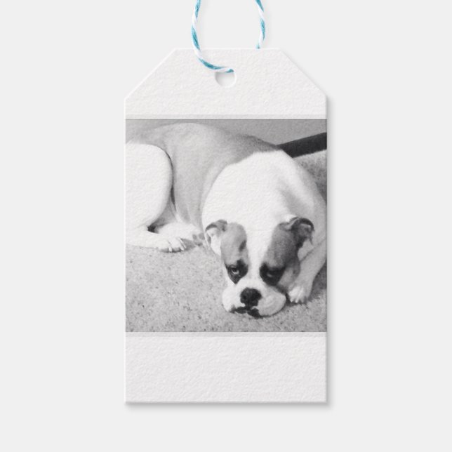 Étiquettes-cadeau Balise cadeau Bulldog en anglais (Devant)