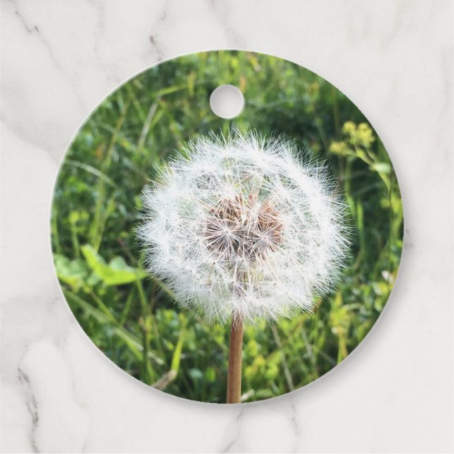 Étiquettes Cadeau Balise cadeau Dandelion (Devant)