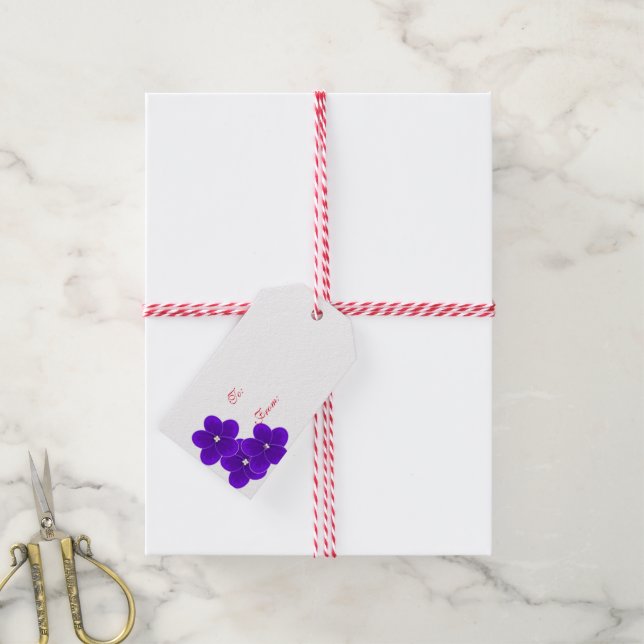 Étiquettes-cadeau Balise cadeau de Noël pour violet africain (With Twine)