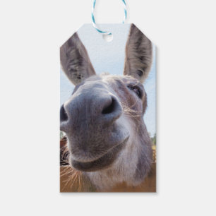 Étiquettes-cadeau Balise Cadeau Donkey souriant
