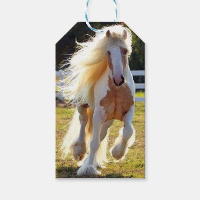 Étiquettes-cadeau Balise Cadeau du cheval (Devant)