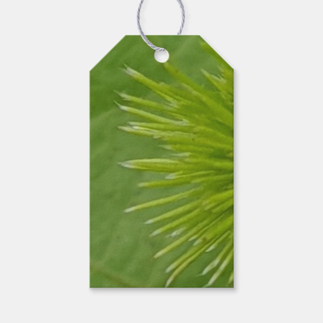 Étiquettes-cadeau Balise Cadeau vert naturel (Devant)