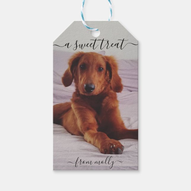 Étiquettes-cadeau Balise de traitement de chien (Devant)