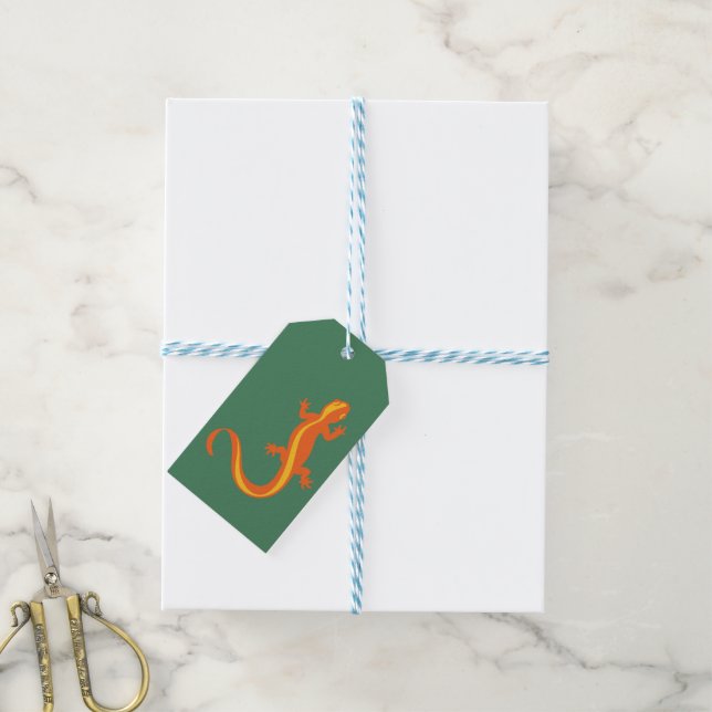 Étiquettes-cadeau Balise Nouveau cadeau (Avec de laficelle)