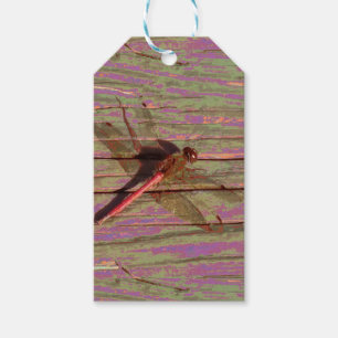 Étiquettes-cadeau Balises Cadeau Colorful Dragonfly