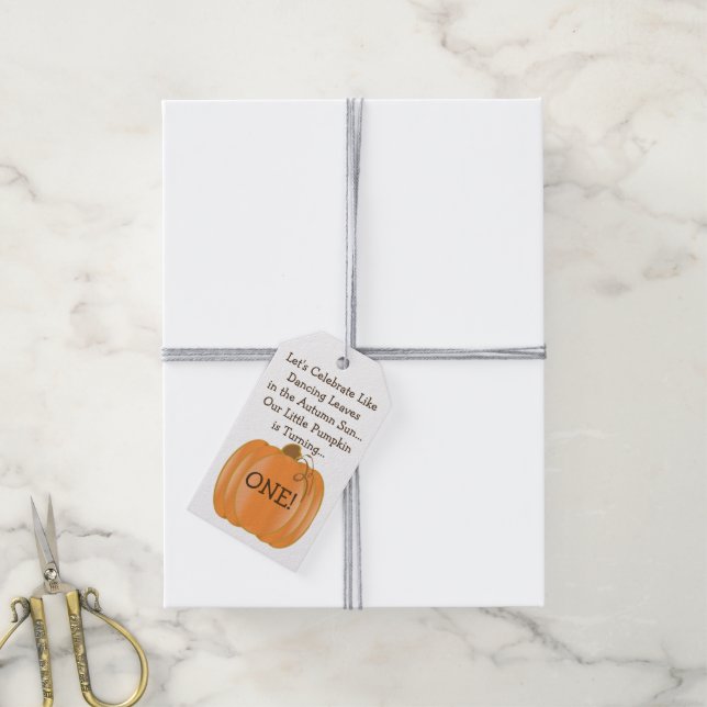 Étiquettes-cadeau Balises Cadeau pour le premier anniversaire du pet (Avec de la ficelle)