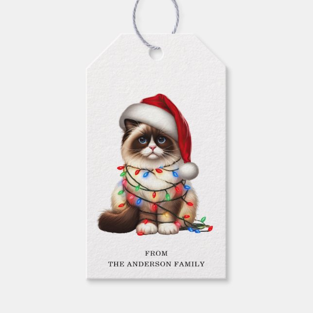 Étiquettes-cadeau Balises Cadeaux Birman Cat (Devant)