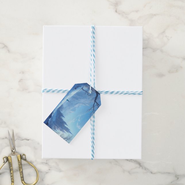 Étiquettes-cadeau Balises cadeaux - Congelé (Avec de laficelle)