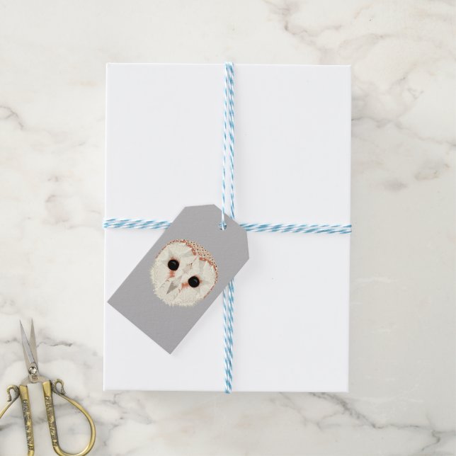 Étiquettes-cadeau Balises cadeaux de Barn Owl (With Twine)