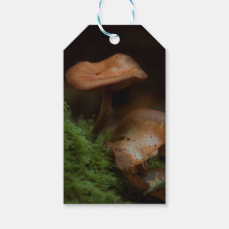 Étiquettes-cadeau Balises cadeaux de champignons