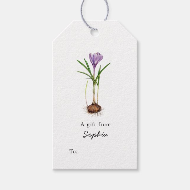 Étiquettes-cadeau Balises Cadeaux de fleurs de crocus pourpre (Devant)