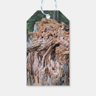 Étiquettes-cadeau Balises cadeaux de l'arbre cassé