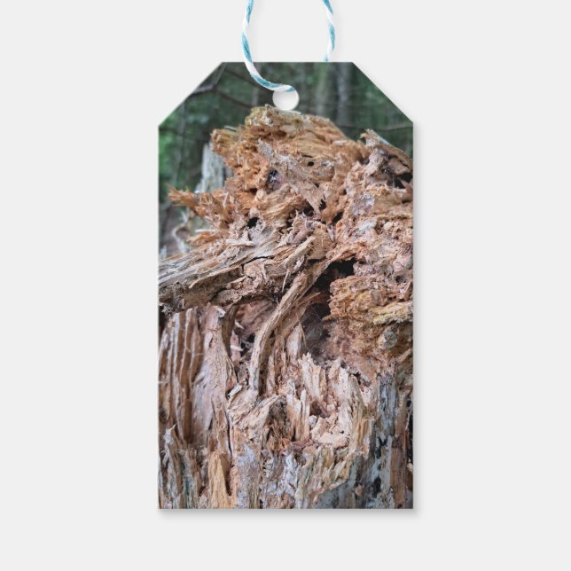 Étiquettes-cadeau Balises cadeaux de l'arbre cassé (Devant)
