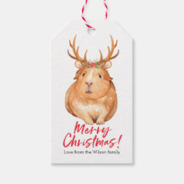 Étiquettes-cadeau Balises cadeaux de Noël hamster mignon