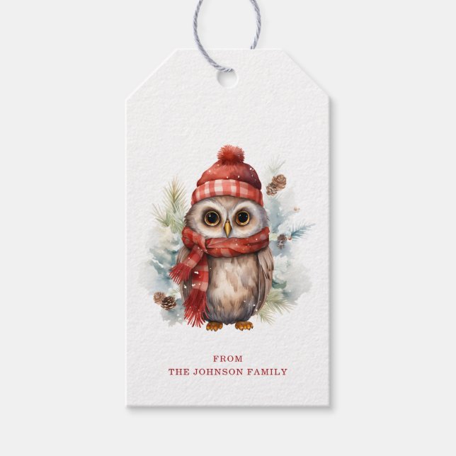 Étiquettes-cadeau Balises cadeaux de Noël Owl (Devant)