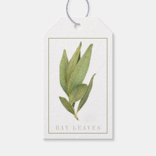 Étiquettes-cadeau Balises cadeaux Feuille Fresh Bay (Devant)