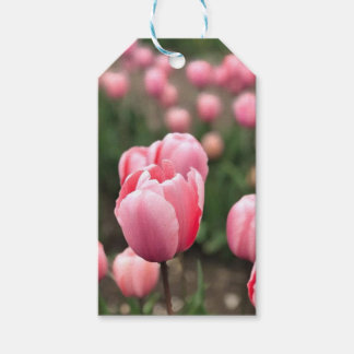 ÉTIQUETTES-CADEAU BALISES CADEAUX TULIP