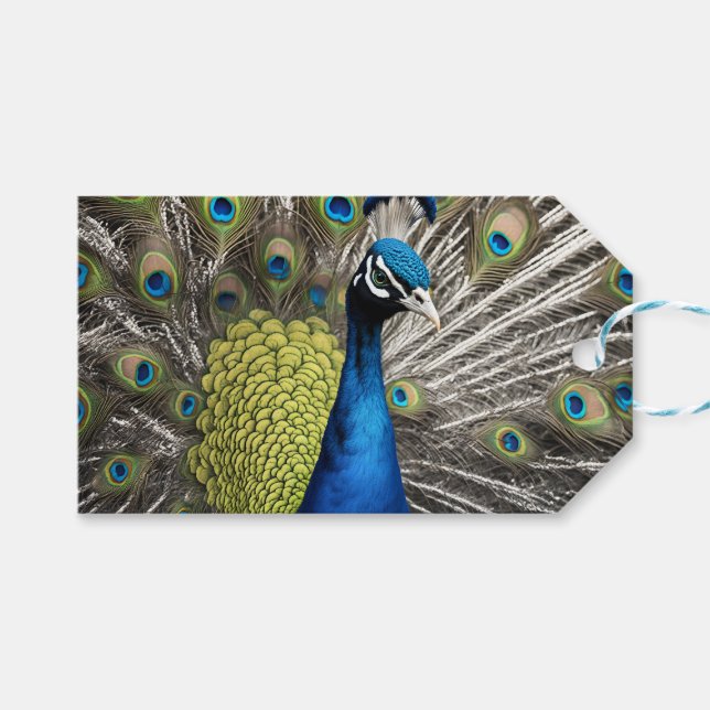 Étiquettes-cadeau Beau Peacock (Devant (Horizontal))