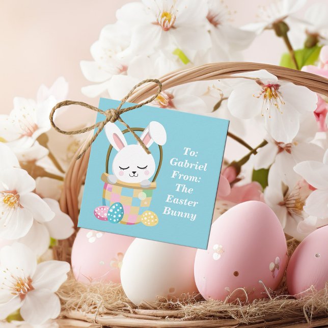 Étiquettes Cadeau Bébé mignon Bleu Lapin de Pâques Customisé (Créateur téléchargé)