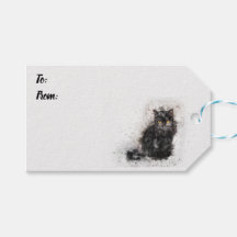 Belle et tendance Chat Noir Perdu Photo