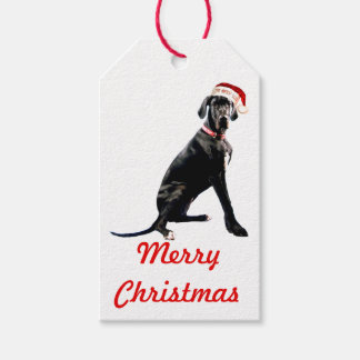 Étiquettes-cadeau Belle Grande Danse à Santa Hat