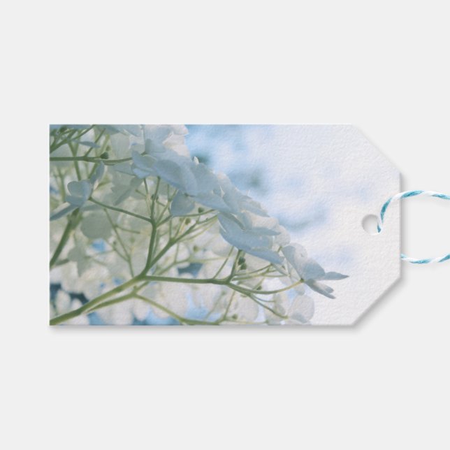 Étiquettes-cadeau Belle Hydrangée Blanche Blooms Highkey (Devant (Horizontal))