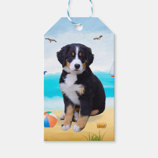 Étiquettes-cadeau Bernois sur la Plage (Devant)