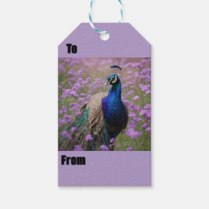 Étiquettes-cadeau Bleu Royal : Bleu Peacock En Champ Lavande,