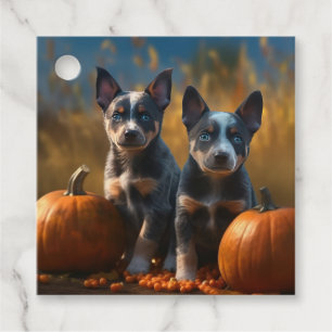 Étiquettes Cadeau Blue Heeler Chiot Automne Citrouille de plaisir