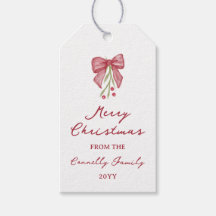 Bow aquarelle Baie Branche Joyeux Noël De