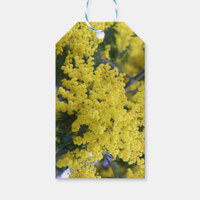 Étiquettes-cadeau Branche de mimosa (Devant)