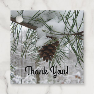 Étiquettes Cadeau Branche des pins neigeux Photographie de la nature
