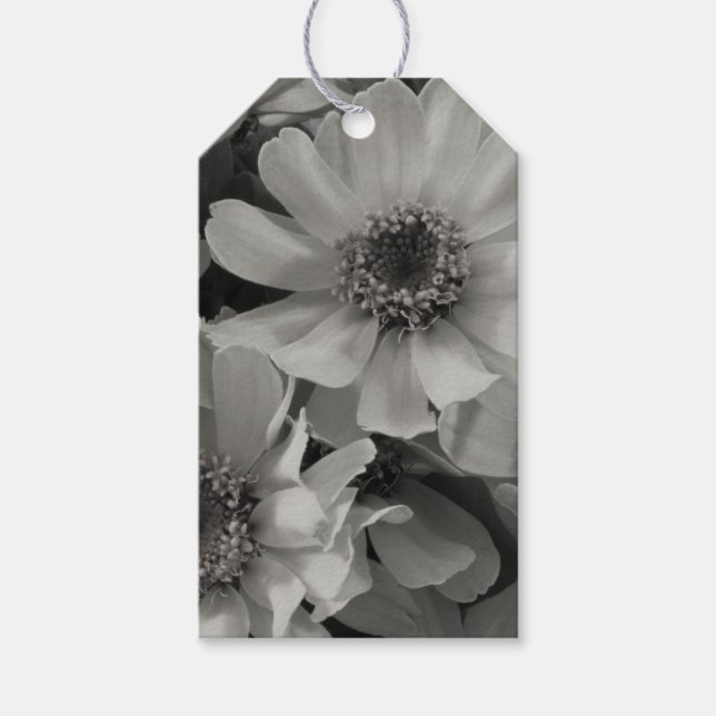 Étiquettes-cadeau Brown Eyed Susan Flowers (Devant)